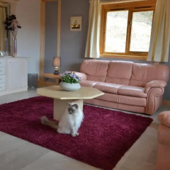 Woodlands Cottage thumbnail 1