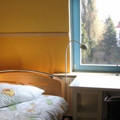Peterswerder - Bild 5