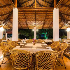 Wild Berry Resort Agonda, South Goa