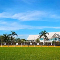 DECEMBER TO REMEMBER photo 2