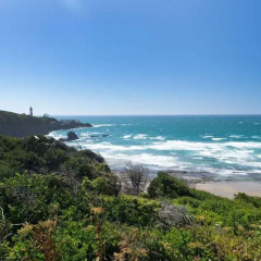 Yaquina Lighthouse View Beach Home thumbnail 21