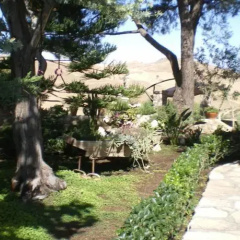 Wonderful Sicily thumbnail 1
