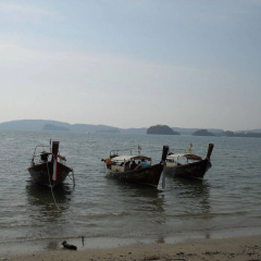 The Krabi Forest Homestay - Bild 14