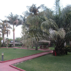 The Charity Hotel International thumbnail 10