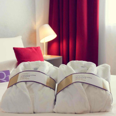 Hotel Mercure Paris La Défense - Bild 7