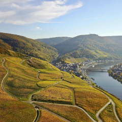 Bernkasteler Moselpanorama - Bild 9