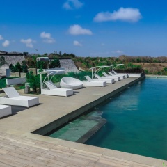 The Canopy - Bild 11