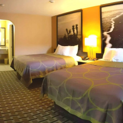 Platinum Inn & Suites Willowbrook Houston thumbnail 3
