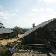 Sunny Day Jeju Pension thumbnail 33