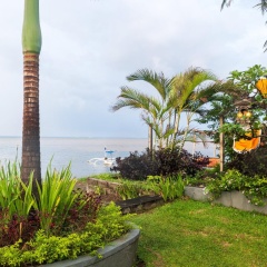 Dolphin Beach Bali - Bild 18