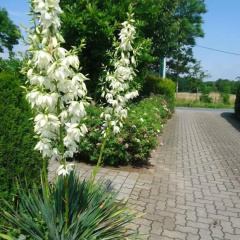 Das Fritz Hotel - Bild 9