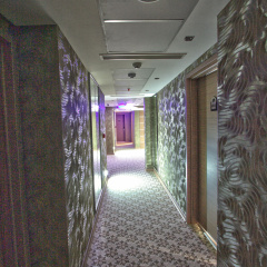 Edis Premier Hotel - Bild 12
