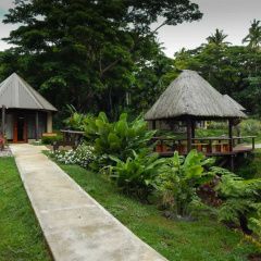 Taveuni Dive Resort thumbnail 29
