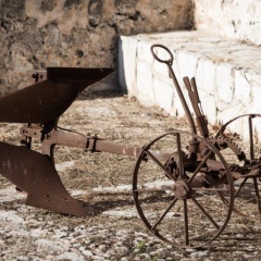 Villa Es Biniatzar - Bild 19