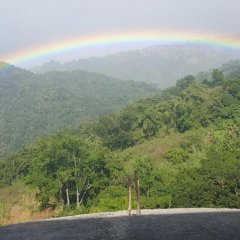 Matthew's Miracle View in Massacre, Dominica from 63$, photos, reviews - zenhotels.com photo 21