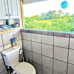 Hamakua Guesthouse thumbnail 10
