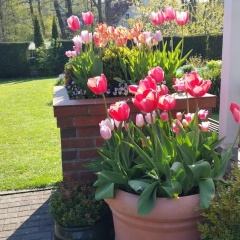 Hotel Pension Am Fuchsberg - Bild 20