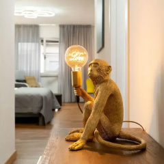 Guicciardini Apartment thumbnail 15