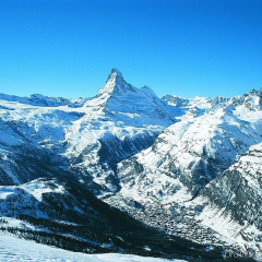 the rex, Zermatt - Bild 11
