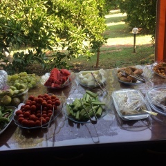 Cirali Sunrise Pansiyon - Bild 5