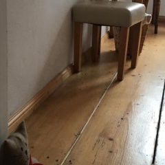 Restaurant Alter Keller - Bild 15