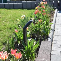 Pension Wiesner - Bild 8