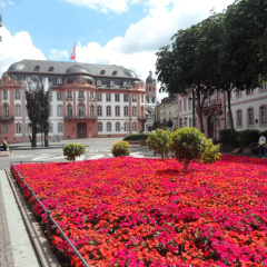 Altstadtapartment Mainz - Bild 8
