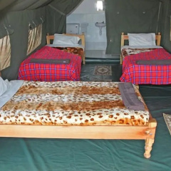 FISI CAMP photo 4