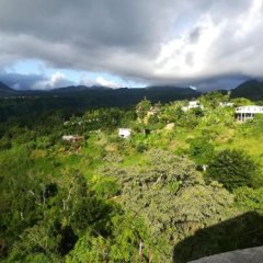 Matthew's Miracle View in Massacre, Dominica from 63$, photos, reviews - zenhotels.com photo 4