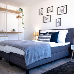Helles Design-Appartement an der Messe - Bild 2