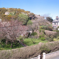 Marine Hotel thumbnail 12