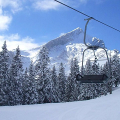 Sweet Alpen Home - Bild 12