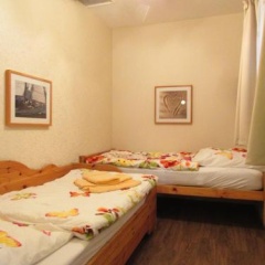 Silbermöwe - Bild 5