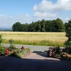 Café Sonnenschein & Pension - Bild 12