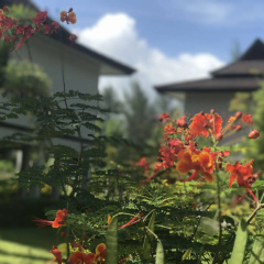 The Hip Resort  @ Khao Lak - Bild 17