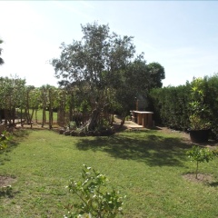 Finca Vale - Bild 12