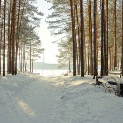 Sanatorij Chuvashija photo 4