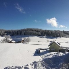 Gasthaus Pension Donishäusle - Bild 9