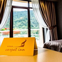 Hotel Carpat Inn in Azuga, Romania from 208$, photos, reviews - zenhotels.com photo 29