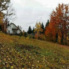 Cristal Villas in Sucevita, Romania from 95$, photos, reviews - zenhotels.com photo 2