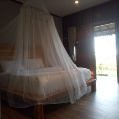 Emir surfcamp - Bild 2