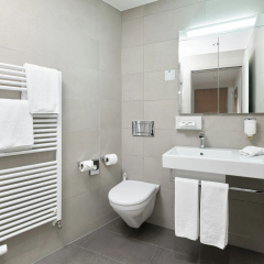 Central City Hotel Rochat - Bild 8