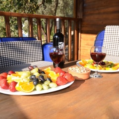 Baharoglu Life House Faralya - Bild 6