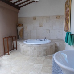 Puri Mas Spa Resort - Bild 5