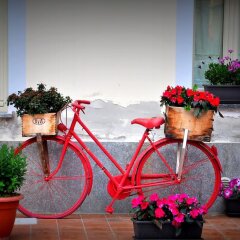 Отель La Mela Reale B&B Италия, Венария-Реале - отзывы, цены и фото номеров - забронировать отель La Mela Reale B&B онлайн фото 19
