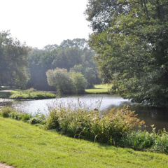Munte-Wellnesshotel am Stadtwald - Bild 26