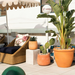 Palihouse West Hollywood at Beverly Hills thumbnail 16