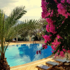 Paradise Garden Hotel - Bild 9
