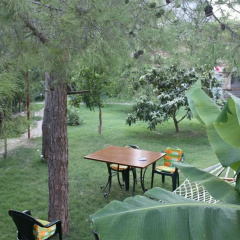 Arya Holiday Houses - Bild 5