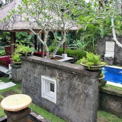 The Lotus Residence - Bild 16
